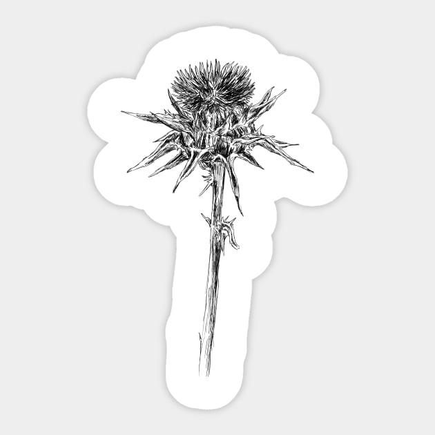 Milk thistle Sticker by rachelsfinelines